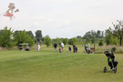 Golf (26)_1.jpg