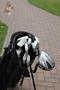 Golf (29)_1.jpg